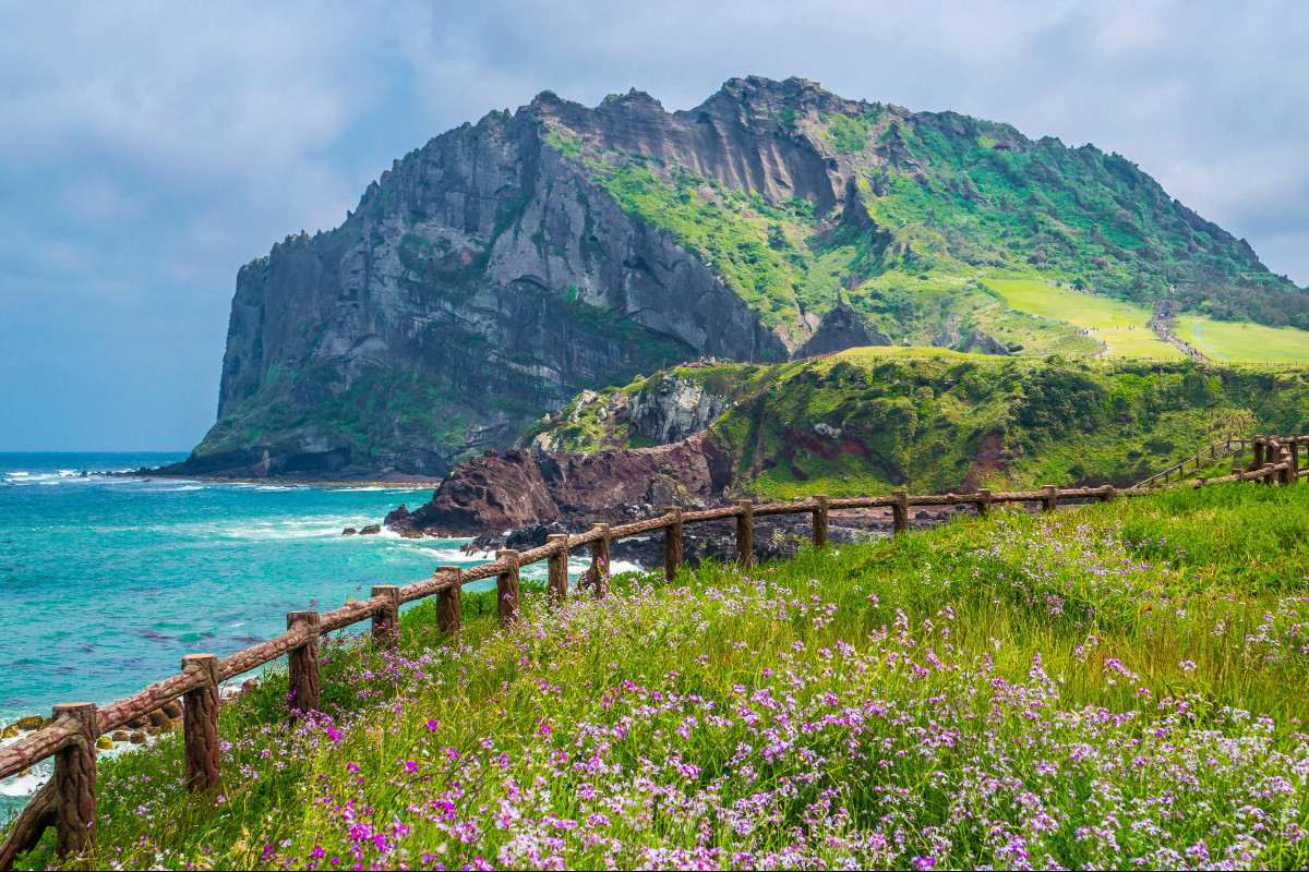 Przenieś się na wyspę Jeju i posłuchaj historii oraz ciekawostek związanych z lokalnymi zwyczajami i wierzeniami. Poznaj haenyeo - niesamowite Kobiety Morza, nazywane też koreańskimi syrenami, które nurkując bez butli z tlenem wyławiają pożywienie z dna oceanu. Ich siła, niezależność i życie w harmonii z naturą budzą powszechny podziw - być może staną się inspiracją także dla Ciebie?